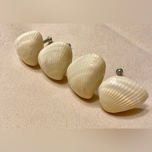 Real seashell drawer knobs/pulls. Set of four